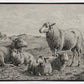 The Lamb of God