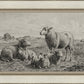 The Lamb of God