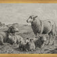 The Lamb of God