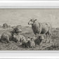 The Lamb of God