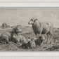 The Lamb of God
