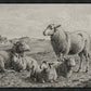 The Lamb of God