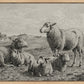 The Lamb of God