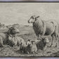 The Lamb of God