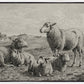 The Lamb of God