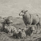 The Lamb of God