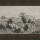 The Lamb of God