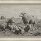 The Lamb of God