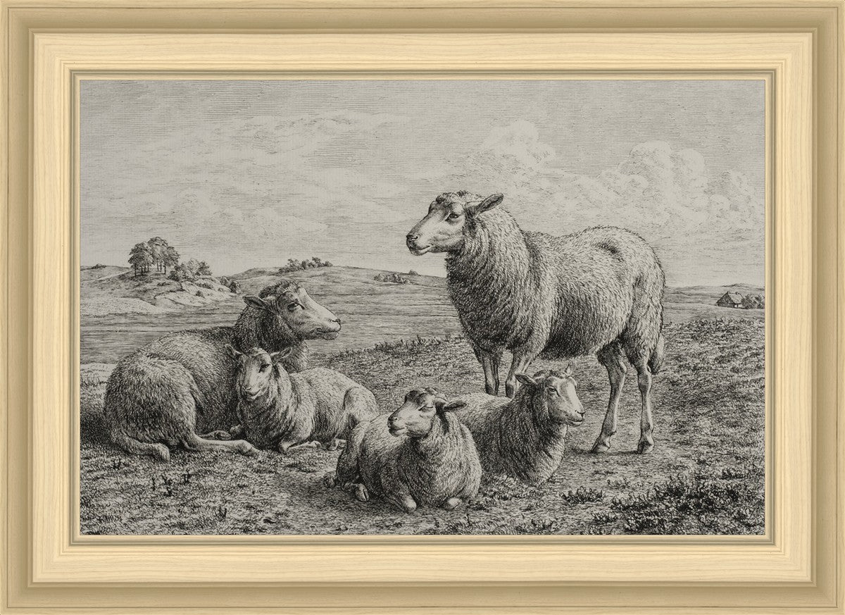 The Lamb of God