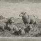 The Lamb of God