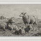 The Lamb of God