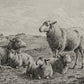 The Lamb of God