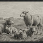 The Lamb of God