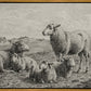 The Lamb of God