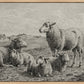 The Lamb of God