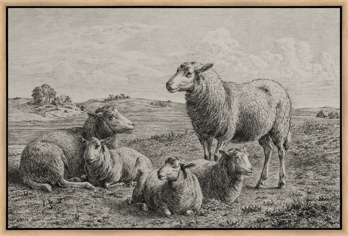 The Lamb of God Gallery Wrap
