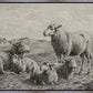 The Lamb of God