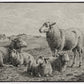 The Lamb of God