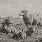 The Lamb of God