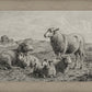 The Lamb of God