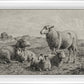 The Lamb of God