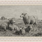The Lamb of God