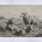 The Lamb of God