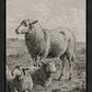 The Lamb of God
