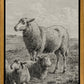 The Lamb of God