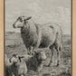 The Lamb of God