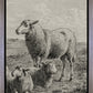 The Lamb of God