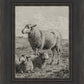 The Lamb of God
