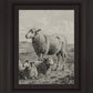The Lamb of God