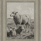 The Lamb of God