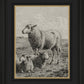 The Lamb of God