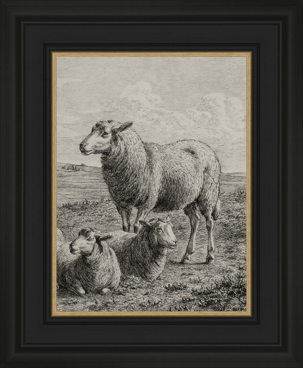 The Lamb of God
