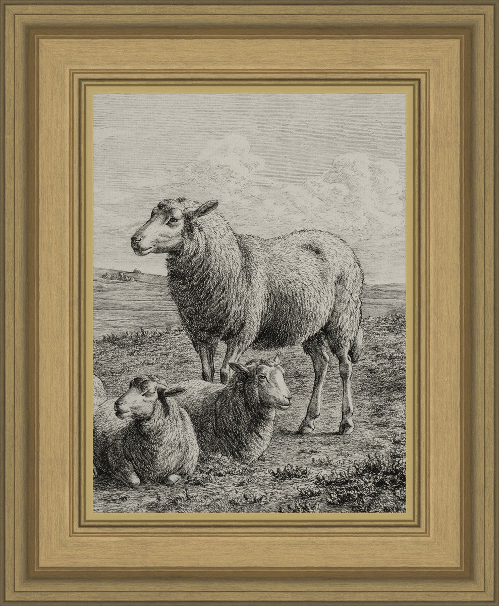 The Lamb of God