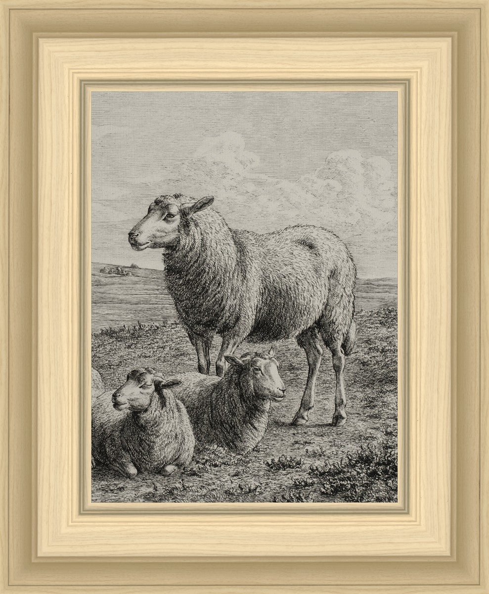 The Lamb of God