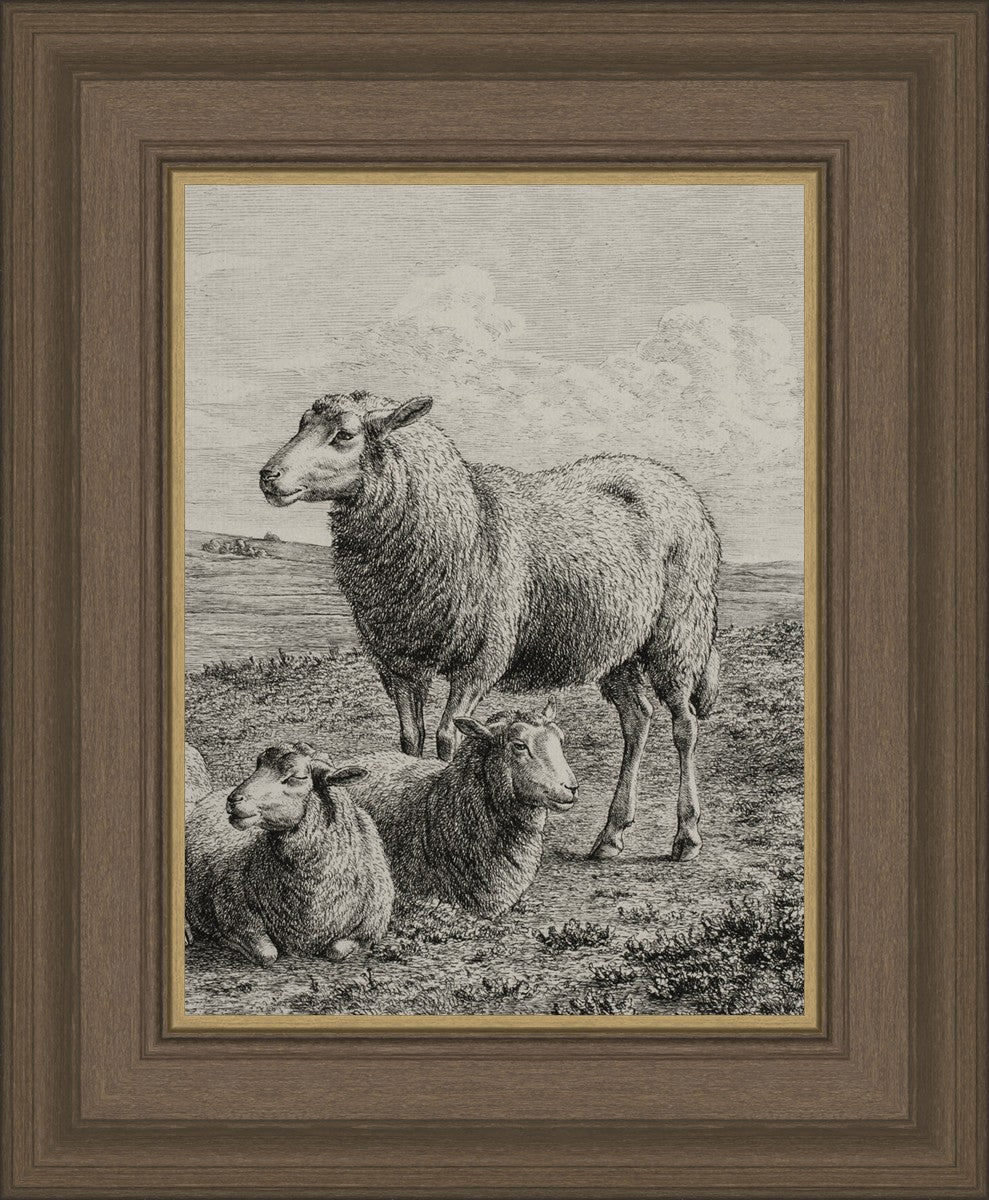 The Lamb of God