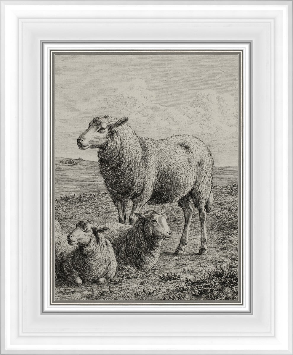 The Lamb of God