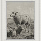 The Lamb of God