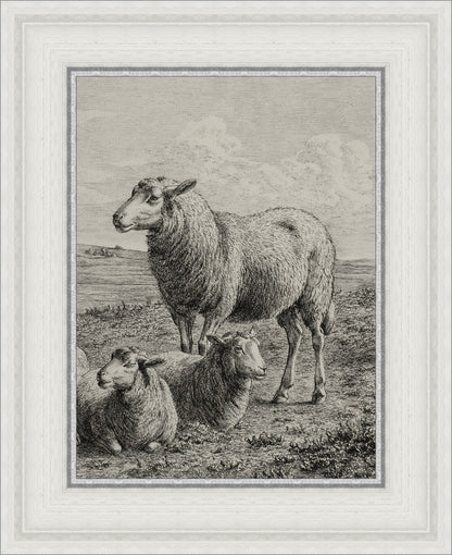 The Lamb of God
