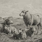 The Lamb of God