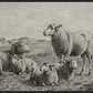 The Lamb of God
