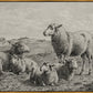 The Lamb of God