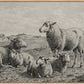 The Lamb of God