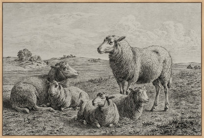 The Lamb of God
