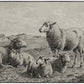 The Lamb of God