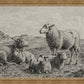 The Lamb of God