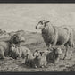 The Lamb of God